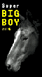 スーパービッグボーイ 2000 12P(SUPER BIG BOY 2000 12P)