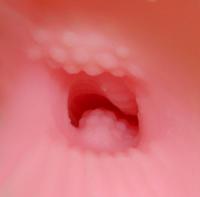 初夜のときめき(Shoya no Tokimeki)