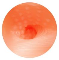 初登校(First trip to school)