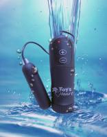 インスピレーション ミニ (Inspiration mini) パープル