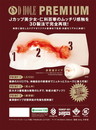 D-HOLE PREMIUM 仁科百華 ドグマホール