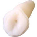 妹のあそこ 3年生仕様