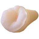 妹のあそこ 2年生仕様