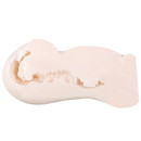 ギャルのカテキョがオナホでごほうびあげちゃいます。　つぼみ