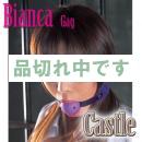 <!--{$arrProduct.name|h}-->