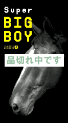 スーパービッグボーイ 2000 12P(SUPER BIG BOY 2000 12P)