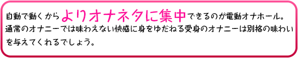 電動オナホール