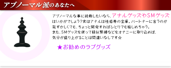 アブノーマル派の貴女へ