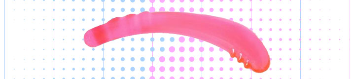 フリーダム(Freedom) アルファー(α)