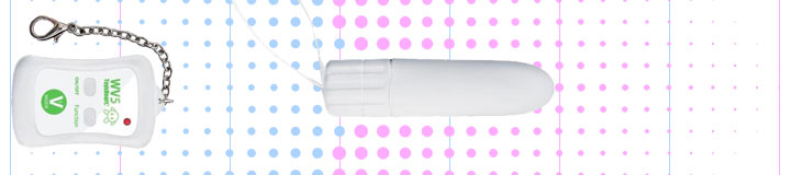 ダブルブイ　ファイブ(WV-5)