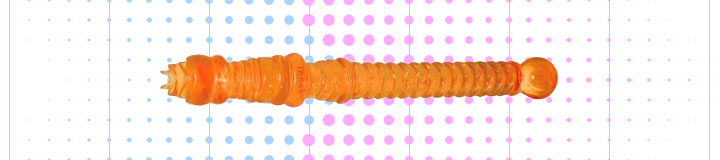 ペッパー(Pepper) タイプR(オレンジ)